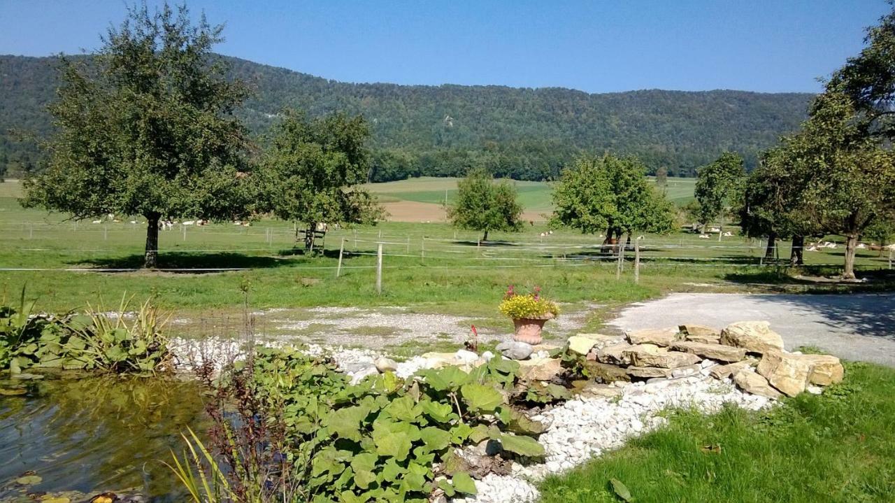 Apartement-Gite Rural A 3 Km De Delemont Courcelon 外观 照片
